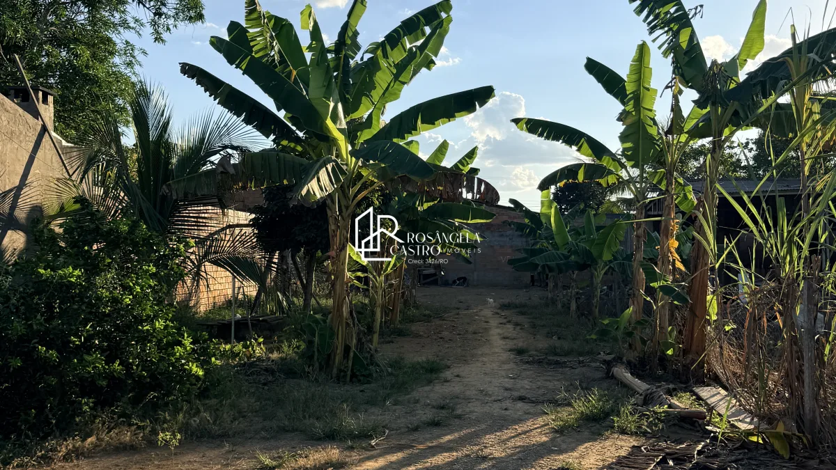 Terreno 520 M2 Polo Moveleiro